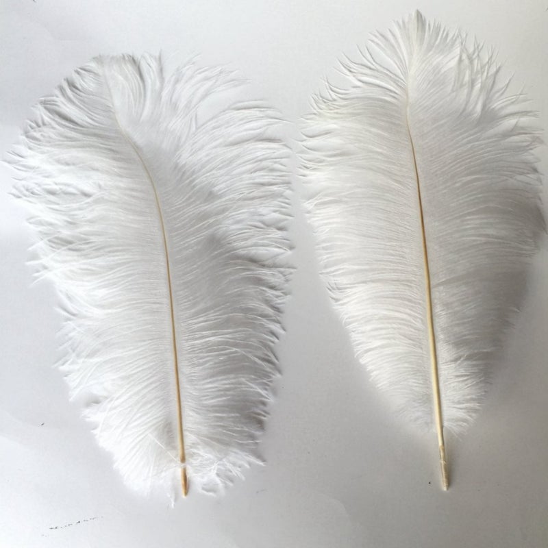 Shekyeon 12-14inch(30-35cm) Ostrich Feathers Plumes for Wedding Centerpieces Pack of 10(White) - Image 3